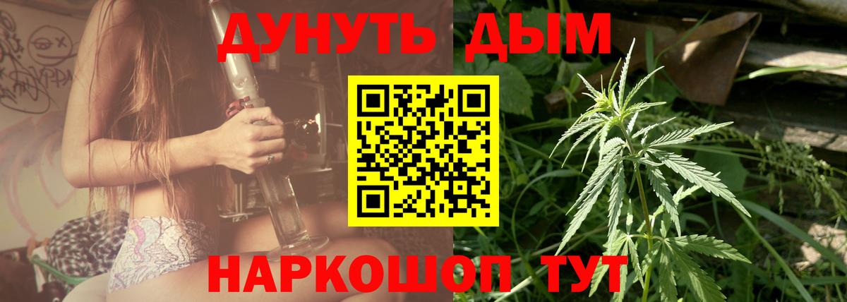 Шишки марихуана план Буйнакск